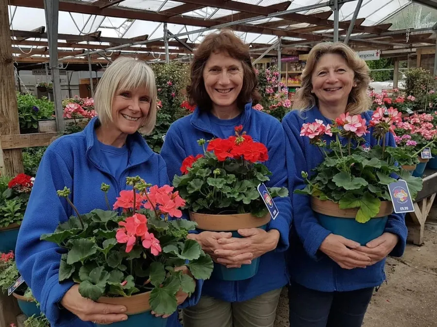 Baskets and Blooms in Stuckton