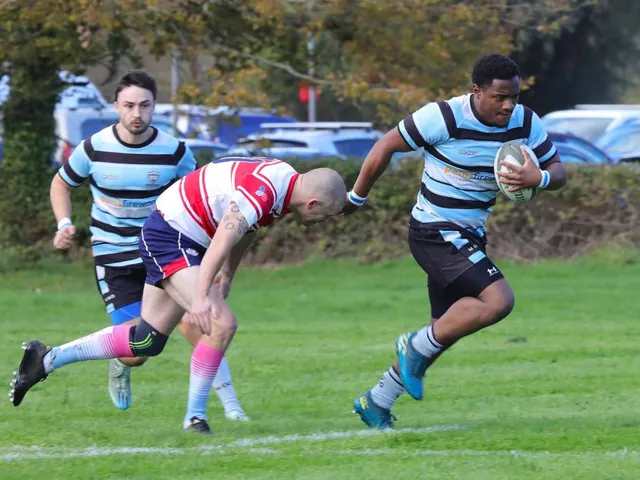 Fordingbridge Rugby Football Club