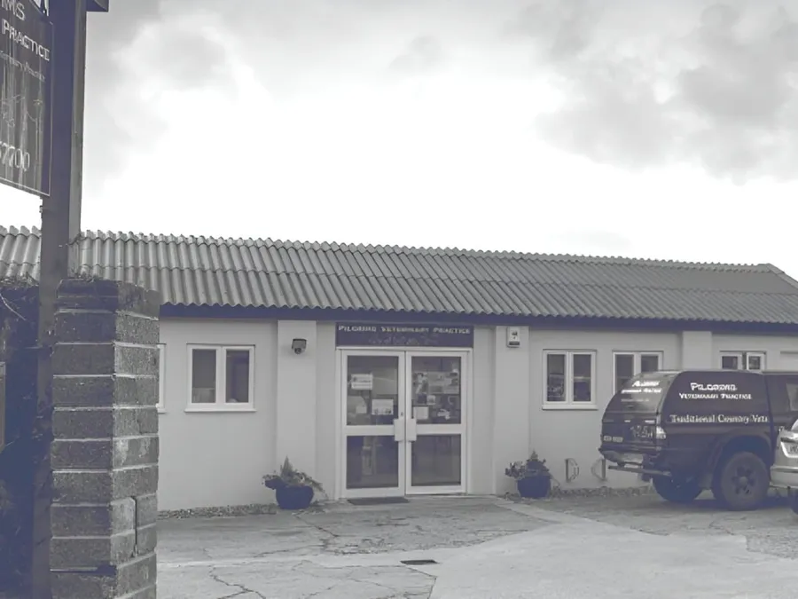 Pilgrims Veterinary Practice